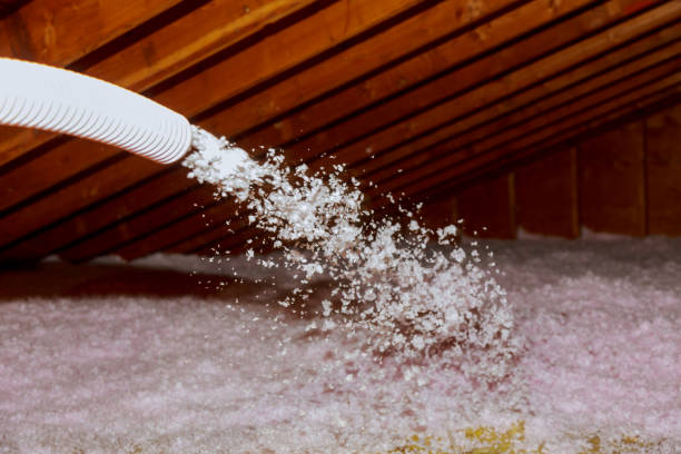 Best Residential Insulation in Canton, MO