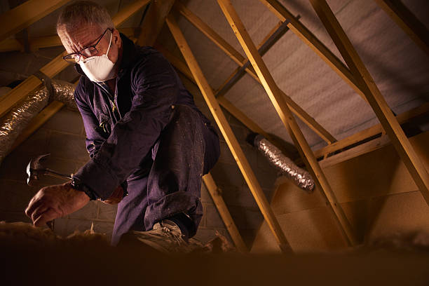 Types of Insulation We Offer in Canton, MO
