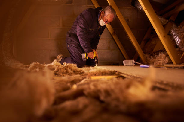 Best Cellulose Insulation in Canton, MO