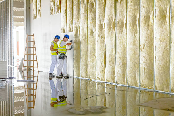 Professional Insulation Contractor in Canton, MO